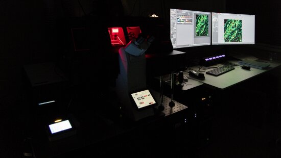 konfokalni_mikroskop (12)